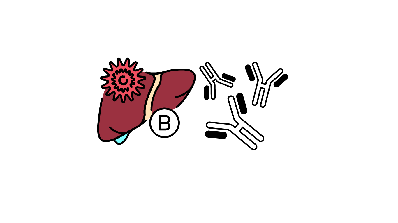 Hepatitis B Immunity Test